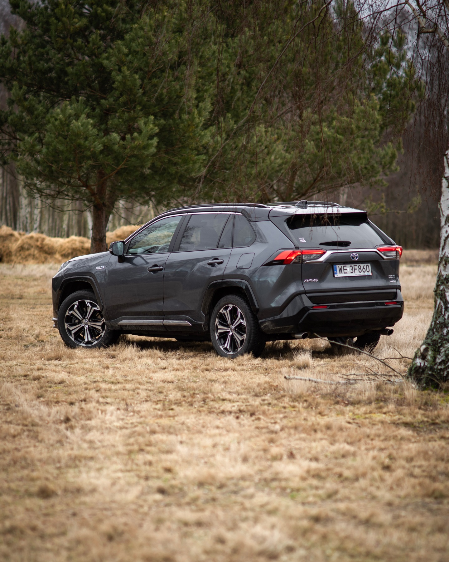 nowa toyota rav4