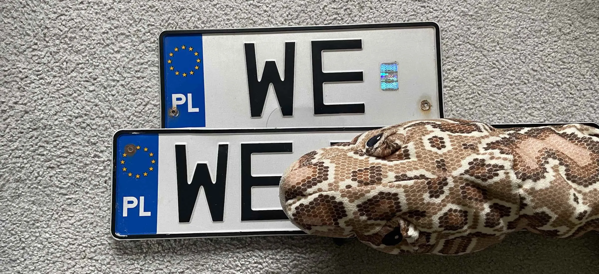 Przerejestrowanie samochodu jest teraz tak tanie, że mój wąż w kieszeni nawet się nie obudził