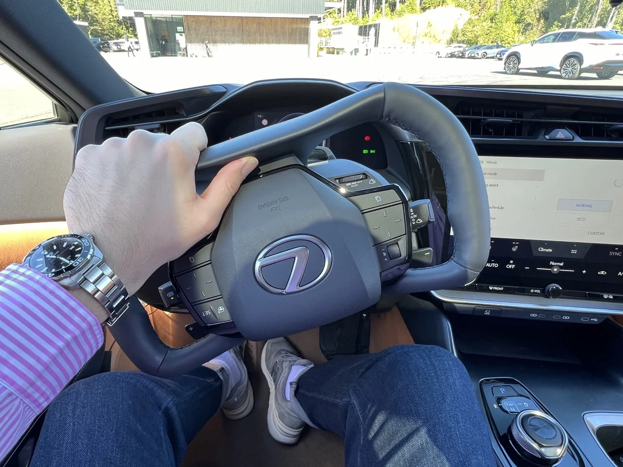 lexus rz wolant
