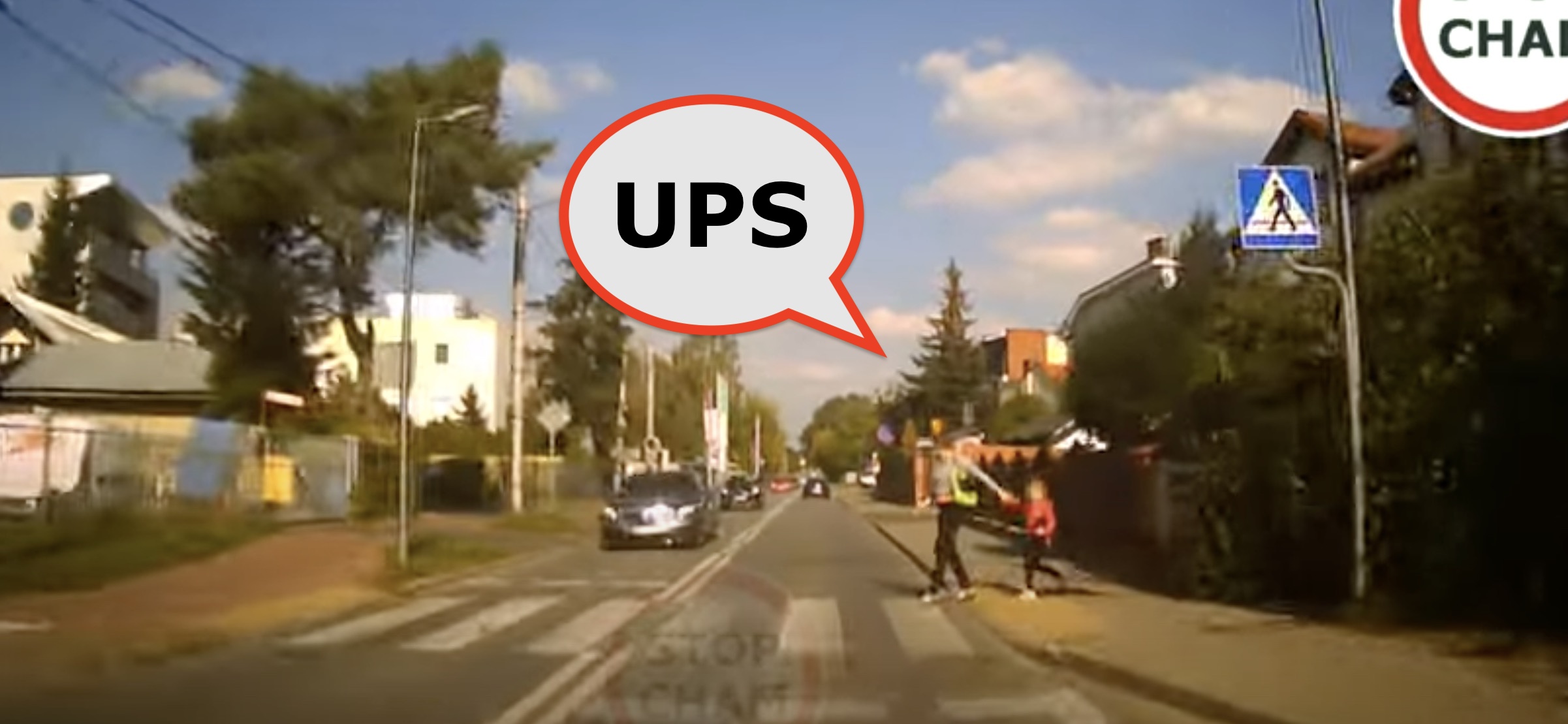 Drodzy piesi, ja was zawsze wspieram. Tylko że tak to może nie róbmy