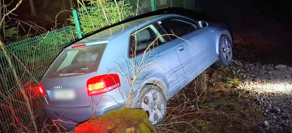 Kompaktowe Audi pędziło górskim szlakiem. Nie, to nie był rajd