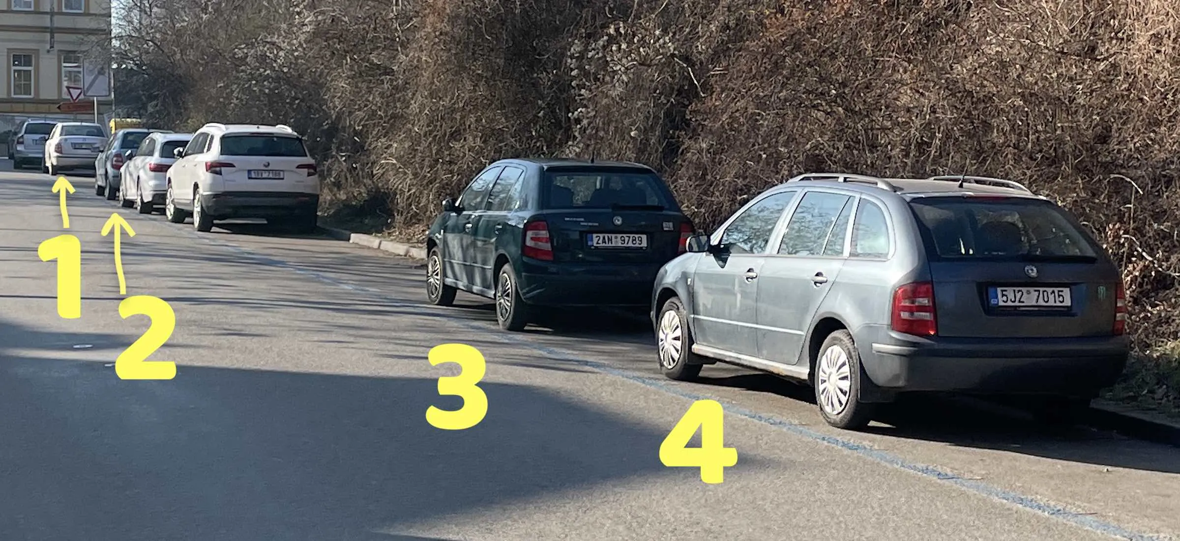 W Brnie ponad połowa aut to Skody. Marzę o takiej sytuacji także u nas