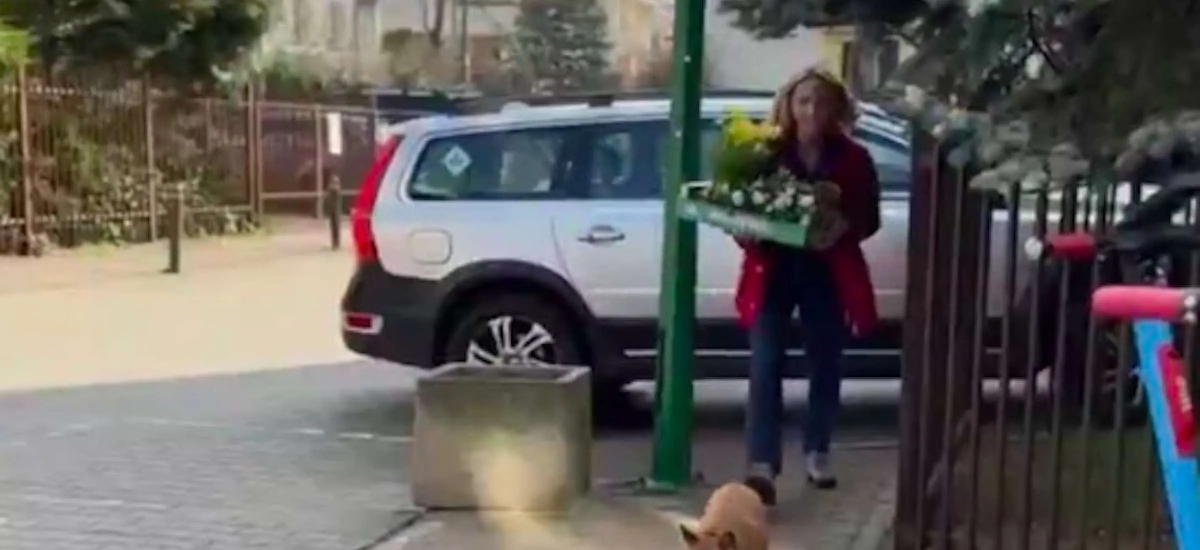 Czy Małgorzata Trzaskowska faktycznie zaparkowała nieprzepisowo? Tak. Nie. Nie wiemy. Nikt nie wie