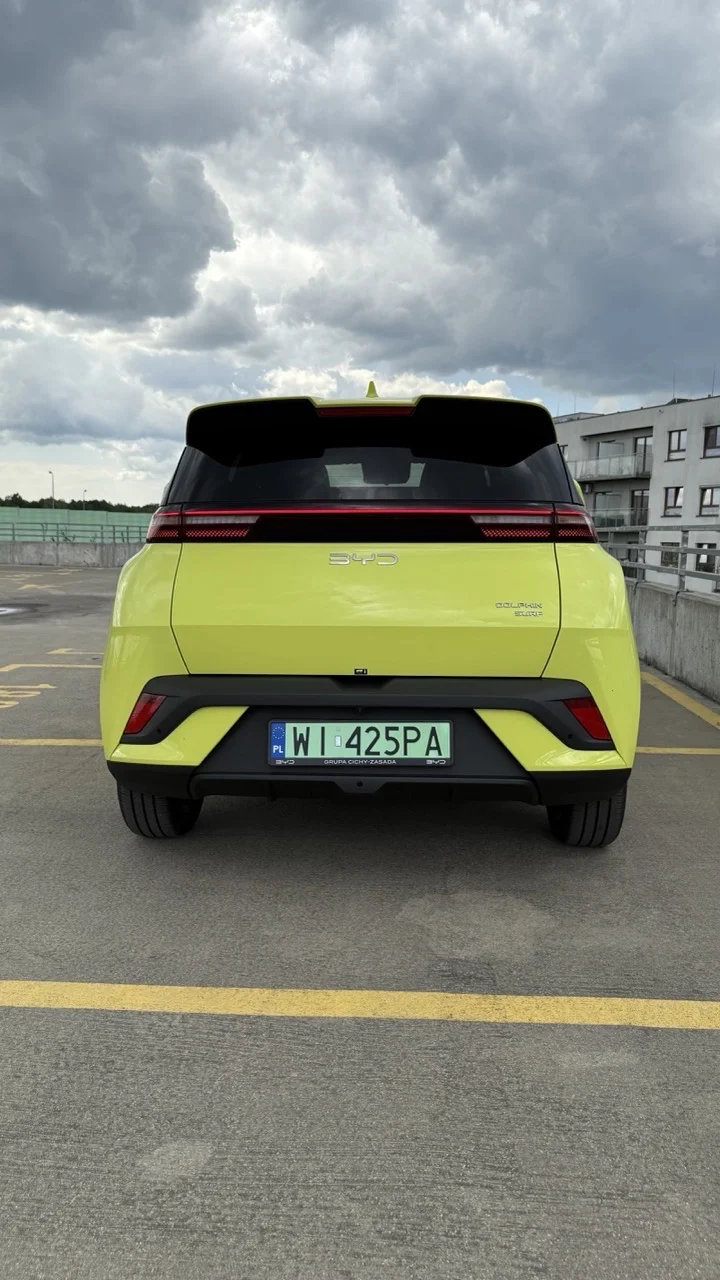 BYD Dolphin Surf 