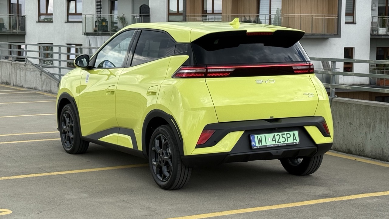 BYD Dolphin Surf