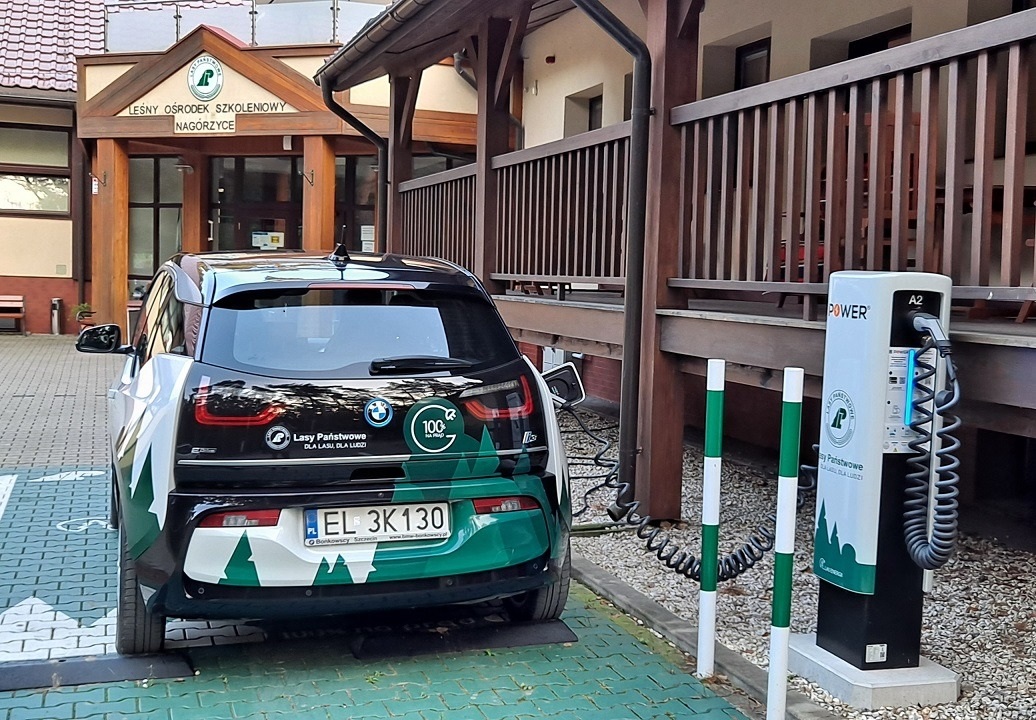 Rozładował ci się samochód elektryczny? Jedź do lasu