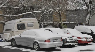 Doglądam tej Warszawy od kilkunastu lat. Myślałeś, że wszystkie wyginęły