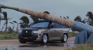 Zrzucili palmę na chińskiego SUV-a. Złamał ją na pół