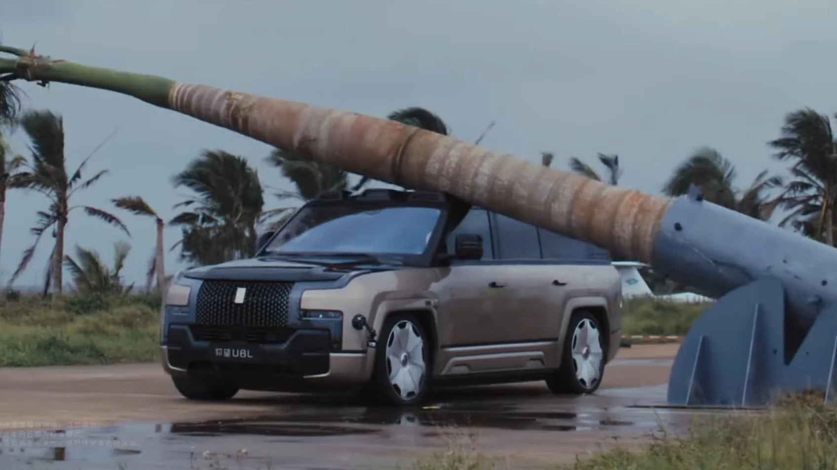 Zrzucili palmę na chińskiego SUV-a. Złamał ją na pół