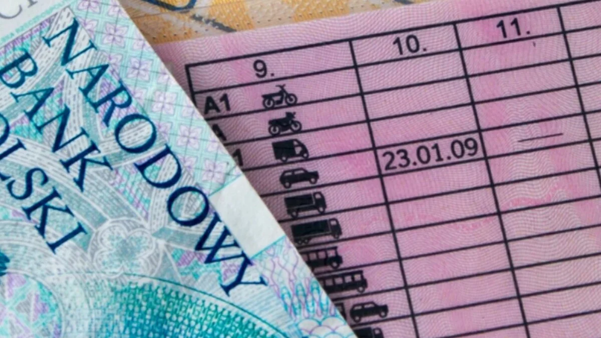Co czeka kierowców w 2026 r.? Prawo jazdy będzie jak rękawiczki