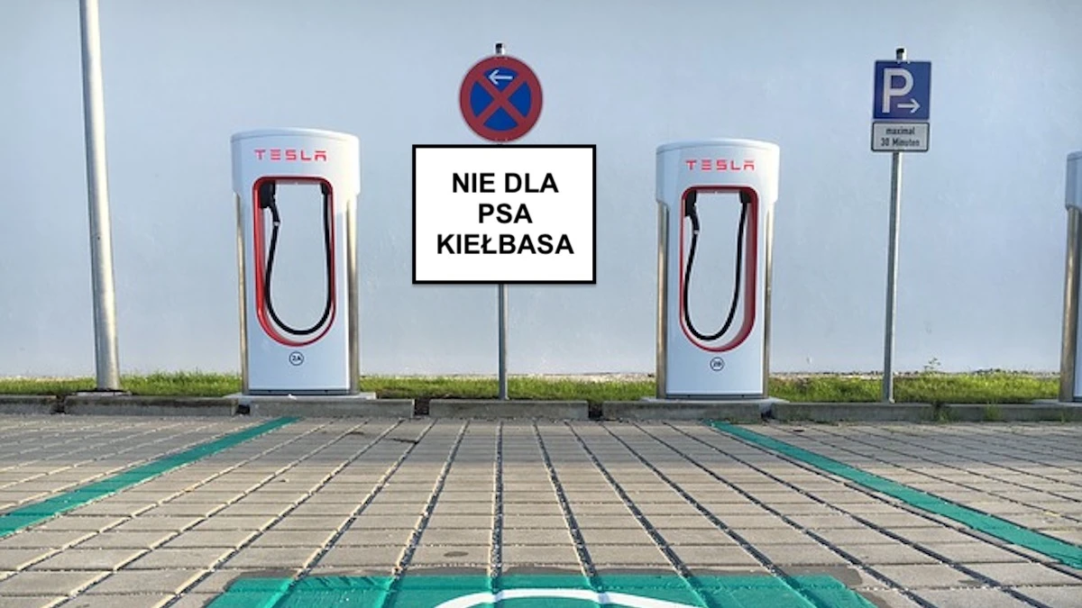 Chciał naładować auto elektryczne na stacji ładowania. Teraz wyśmiewają go w internecie