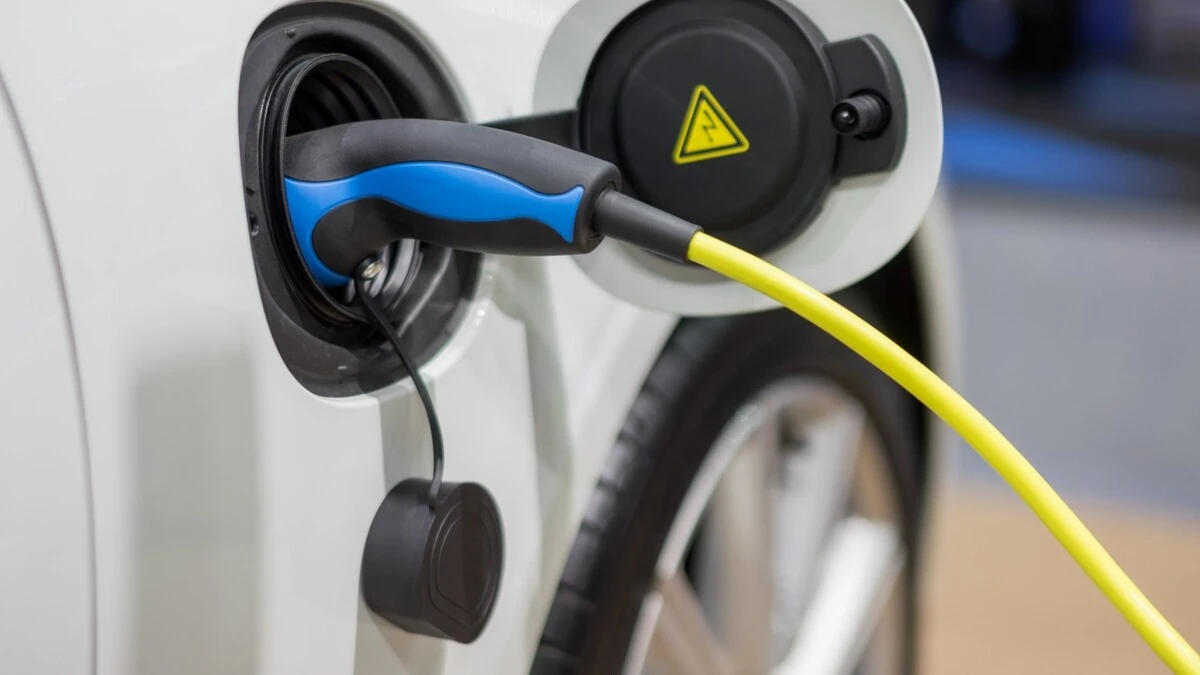 Złodzieje pokochali te kabelki. To już plaga