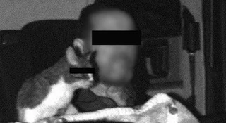 Sadzał kota na desce. Dostał 35 euro mandatu