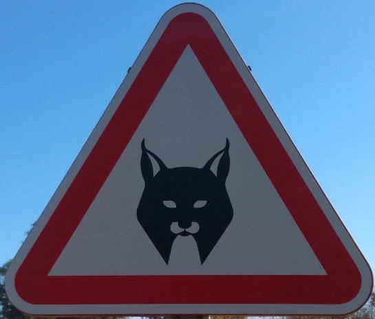  class="wp-image-677794" 