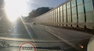 Czasami cieszy, czasami przeszkadza. Psik i szansa na wypadek spada