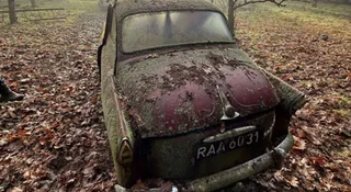 Odgarnął liście na bok. Znalazł dwie stare Skody