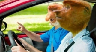 Wspierasz swoje dziecko w nauce jazdy? Uważaj na to, co mówisz