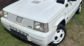 Pandy są rzadkie same w sobie. Ta jest chyba najrzadsza