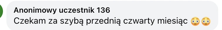 miniatura zdjęcia