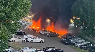 Spalił 20 samochodów elektrycznych. Alergia musiała być silna