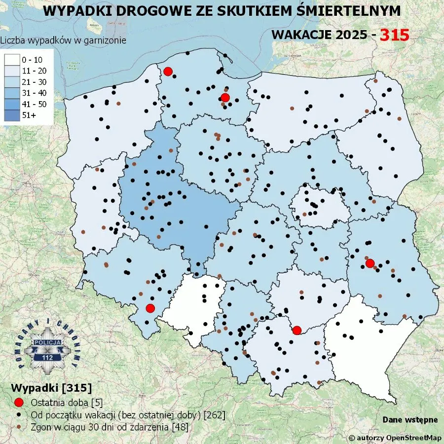 miniatura zdjęcia