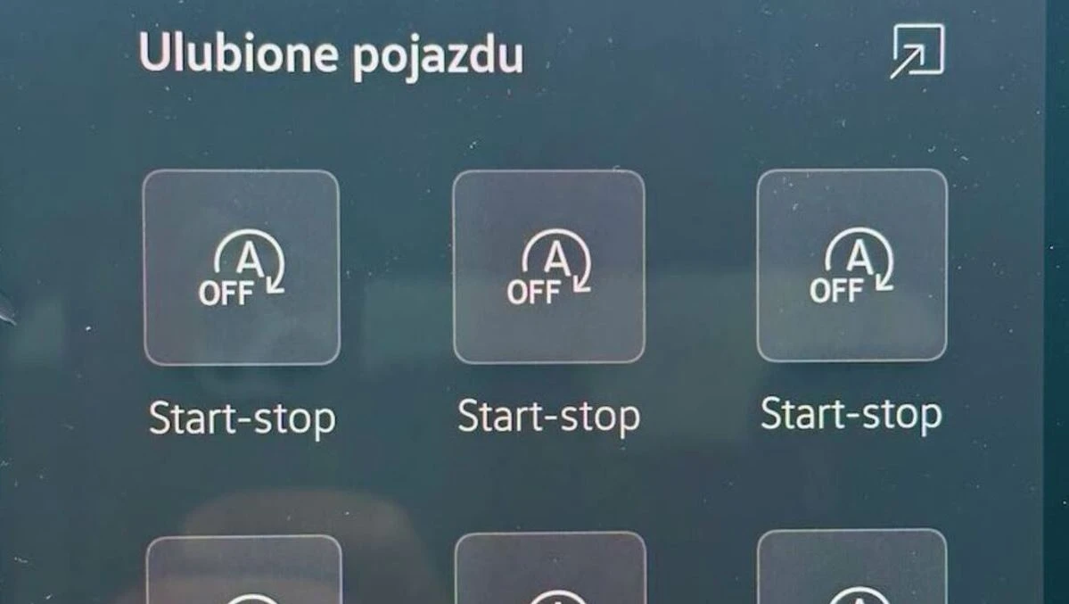 Trafiłem na hejtera systemu start-stop. To było negatywne