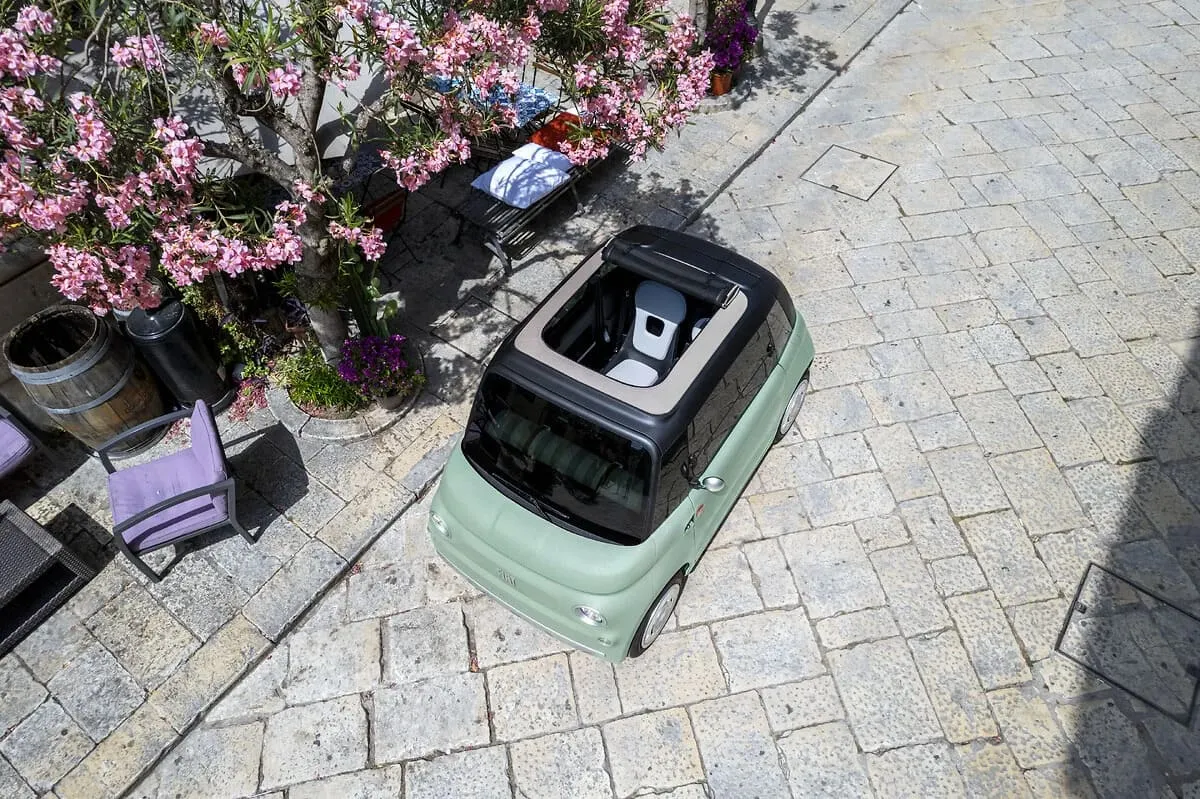 miniatura zdjęcia