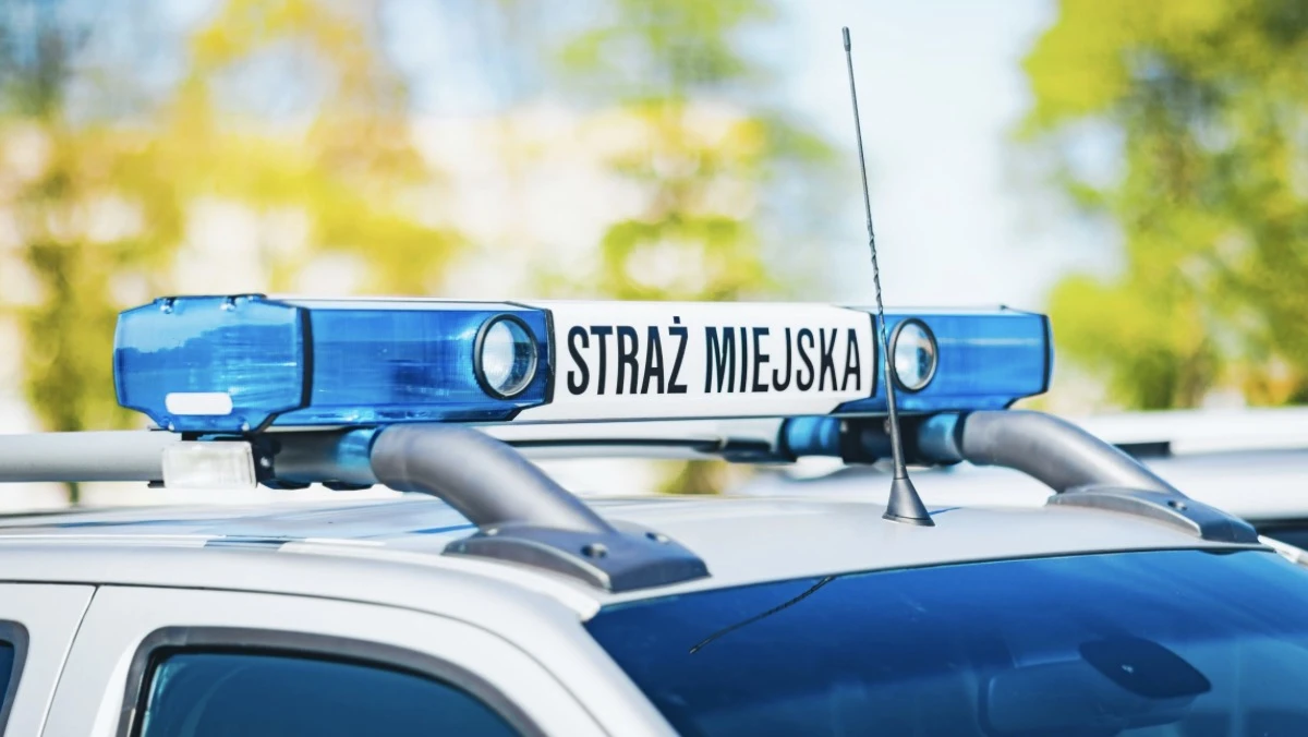 Straż miejska miała pilnować rogatek. Słabo wyszło